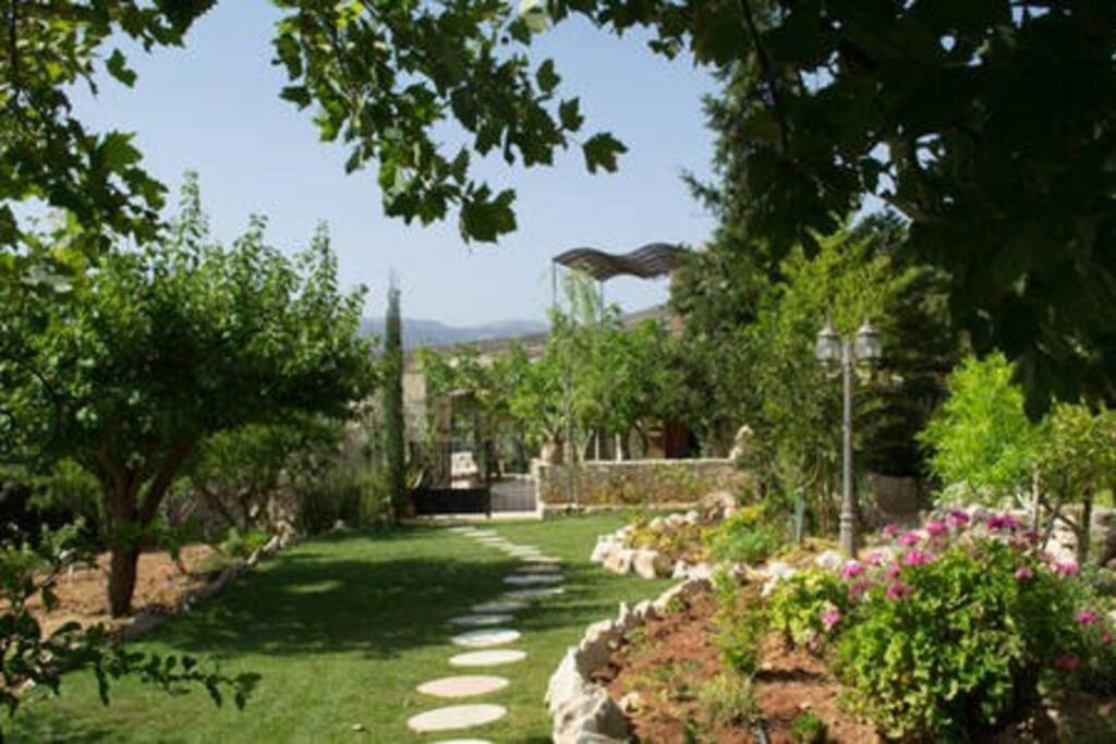 Olive House Traditional Villa With Pool Sitia  Esterno foto